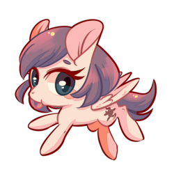 Size: 1000x1000 | Tagged: safe, artist:phyllismi, oc, oc only, pegasus, pony, cute, female, looking at you, mare, ocbetes, simple background, solo, transparent background