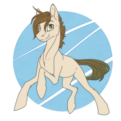 Size: 1000x1000 | Tagged: safe, artist:sunny way, oc, oc only, earth pony, pony, rcf community, colored, colored lineart, male, request, running, smiling, solo, stallion