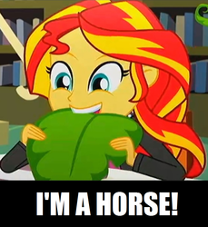 Size: 836x912 | Tagged: safe, sunset shimmer, human, epic fails, equestria girls, g4, my little pony equestria girls: summertime shorts, humans doing horse things, you don't say