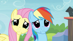 Size: 1920x1080 | Tagged: safe, screencap, fluttershy, rainbow dash, pegasus, pony, g4, trade ya!, cute, dashabetes, faic, female, fluttershy is best facemaker, looking at you, mare, pouting, puppy dog eyes, rainbow dash is best facemaker, shyabetes, sweet dreams fuel, weapons-grade cute, wide eyes