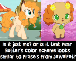 Size: 790x631 | Tagged: safe, pear butter, dog, pony, g4, comparison, jewelpet, prase (jewelpet), sanrio, sega