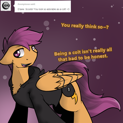 Size: 750x750 | Tagged: safe, artist:conmanwolf, scootaloo, pegasus, pony, ask factory scootaloo, fanfic:rainbow factory, g4, clothes, comic, factory scootaloo, rule 63, scooteroll