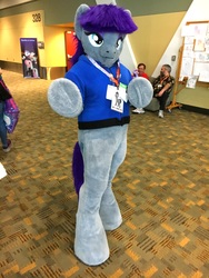 Size: 3024x4032 | Tagged: safe, artist:atalonthedeer, maud pie, human, g4, clothes, cosplay, costume, fursuit, irl, irl human, photo