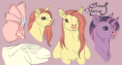 Size: 1672x895 | Tagged: safe, artist:jayrockin, fluttershy, twilight sparkle, pony, tiny sapient ungulates, g4, anatomy, female, mare, ugly cute, whiskers