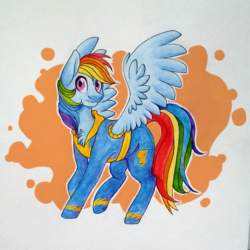 Size: 1008x1006 | Tagged: safe, artist:rdstartie, rainbow dash, pegasus, pony, g4, clothes, female, multicolored hair, traditional art, uniform, wonderbolts, wonderbolts uniform