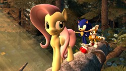 Size: 1366x768 | Tagged: safe, artist:migueruchan, fluttershy, pony, g4, 3d, crossover, male, miles "tails" prower, sonic the hedgehog, sonic the hedgehog (series)