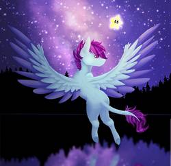 Size: 1550x1500 | Tagged: safe, artist:pndrws, oc, oc only, oc:fantasy star, pegasus, pony, forest, lake, male, night, smiling, spread wings, stallion, starry night, stars, water, wings