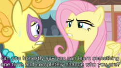Size: 1920x1080 | Tagged: safe, edit, edited screencap, screencap, fluttershy, lemon chiffon, pony, fame and misfortune, g4, angry, annoyed, assertive, assertive fluttershy, duo, fanpony, fluttershy is not amused, fourth wall, glasses, image macro, m.a. larson, meme, meta, peeved, scared, sweat, unamused