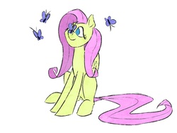 Size: 1705x1273 | Tagged: safe, artist:akweer, fluttershy, butterfly, pony, g4, butterfly on nose, cute, female, insect on nose, looking at something, no pupils, simple background, sitting, solo, white background