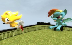 Size: 1280x800 | Tagged: safe, artist:rach-gmod-multiverse, rainbow dash, pony, g4, 3d, crossover, gmod, male, sonic the hedgehog, sonic the hedgehog (series), super sonic