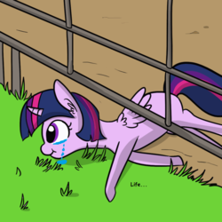Size: 675x676 | Tagged: safe, artist:tjpones edits, edit, editor:artiks, twilight sparkle, alicorn, pony, g4, :t, crying, curved horn, cute, ear fluff, eating, female, fence, grass, herbivore, horn, missing cutie mark, on side, ponified animal photo, sad, silly, silly pony, smiling, solo, twiabetes, twilight sparkle (alicorn)