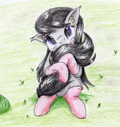 Size: 1906x2013 | Tagged: safe, artist:40kponyguy, derpibooru exclusive, octavia melody, earth pony, pony, g4, blushing, clothes, cute, ear fluff, female, floppy ears, hug, looking at you, socks, solo, tail hug, tavibetes, traditional art