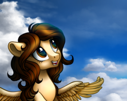 Size: 1000x800 | Tagged: safe, artist:vird-gi, oc, oc only, pegasus, pony, cloud, commission, female, mare, sky, smiling, solo, ych result