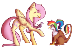 Size: 1280x819 | Tagged: safe, artist:suenden-hund, fluttershy, oc, oc:rainbow feather, bird, griffon, pegasus, pony, g4, cute, interspecies offspring, magical lesbian spawn, offspring, parent:gilda, parent:rainbow dash, parents:gildash, simple background, transparent background