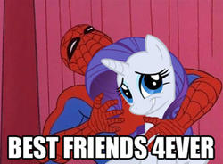 Size: 600x441 | Tagged: safe, rarity, pony, g4, 60s spider-man, image macro, male, meme, spider-man