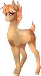 Size: 830x1546 | Tagged: safe, artist:asknoara, oc, oc only, oc:anna, earth pony, pony, solo