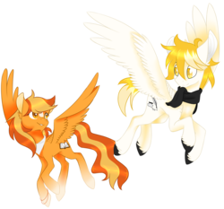 Size: 3500x3259 | Tagged: safe, artist:emypony, oc, oc only, oc:serenity, oc:white feather, pegasus, pony, clothes, couple, female, flying, high res, male, mare, scarf, serenither, stallion