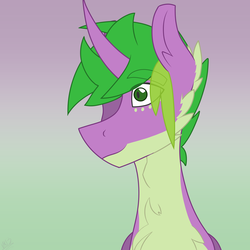 Size: 1688x1688 | Tagged: safe, artist:moonakart13, artist:moonaknight13, spike, pony, unicorn, g4, fluffy, freckles, male, markings, ponified, ponified spike, smiling, solo