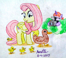 Size: 1024x907 | Tagged: safe, artist:a-bright-idea, fluttershy, duck, pony, g4, atg 2017, camera, newbie artist training grounds, traditional art