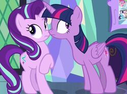 Size: 548x406 | Tagged: safe, screencap, fluttershy, pinkie pie, rarity, starlight glimmer, twilight sparkle, alicorn, pony, fame and misfortune, g4, boop, cute, duo, duo female, female, looking away, scrunchy face, twilight sparkle (alicorn)