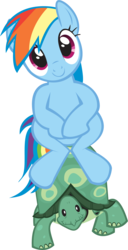 Size: 885x1728 | Tagged: safe, artist:elementaggregator, rainbow dash, tank, pegasus, pony, g4, may the best pet win, .svg available, cute, dashabetes, duo, female, ponies riding turtles, rainbow dash riding tank, riding, simple background, sitting, transparent background, vector