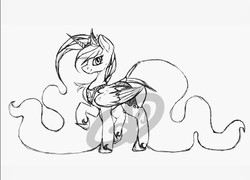 Size: 671x484 | Tagged: safe, artist:roaert, princess luna, alicorn, pony, g4, female, long mane, monochrome, sketch, smiling, solo, wip