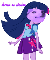 Size: 1280x1517 | Tagged: safe, artist:maggiethecatwithablo, twilight sparkle, dog, shiba inu, equestria girls, g4, doge, doggo, female, meme, simple background, solo, wat, white background