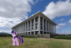 Size: 5795x3875 | Tagged: safe, artist:didgereethebrony, twilight sparkle, alicorn, pony, g4, canberra, digital art, irl, library, photo, ponies in real life, solo, twilight sparkle (alicorn)