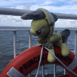 Size: 512x512 | Tagged: safe, artist:luckydonald, daring do, pony, g4, animated, cruise ship, daring do adventures, gif, helmet, irl, life preserver, ocean, photo, plushie, princess seaways, solo, water