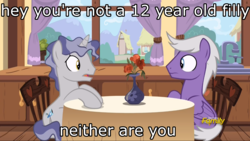 Size: 1366x768 | Tagged: safe, edit, edited screencap, screencap, silver script, star bright, pegasus, pony, unicorn, g4, triple threat, chair, desk, family guy, flower, looking at each other, male