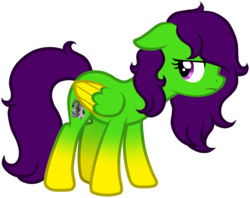 Size: 1593x1260 | Tagged: safe, artist:anxiouslilnerd, artist:oceanmoon-spirit, oc, oc only, oc:camoflage cat, pegasus, pony, simple background, transparent background, vector, vector trace