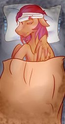 Size: 800x1513 | Tagged: safe, artist:conmanwolf, oc, oc only, oc:orion comet, pegasus, pony, ask factory scootaloo, bandage, blanket, blood, comic, pillow