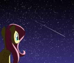 Size: 2500x2116 | Tagged: safe, artist:mirrorcrescent, fluttershy, pony, g4, atg 2017, female, high res, newbie artist training grounds, night, shooting star, solo, stargazing, stars