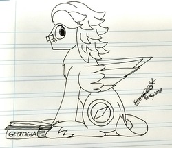 Size: 1385x1198 | Tagged: safe, artist:summerium, oc, oc only, oc:summer lights, pegasus, pony, blushing, book, geology, glasses, lined paper, male, sitting, solo, spanish, text, traditional art