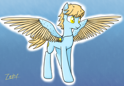 Size: 1381x955 | Tagged: safe, artist:zephyr!, oc, oc only, oc:summerskies, pegasus, pony, gradient background, jewelry, male, necklace, solo, stallion, sun, wind, windswept mane