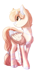 Size: 1024x1861 | Tagged: safe, artist:worldlofldreams, oc, oc only, pony, simple background, solo, transparent background