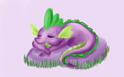 Size: 8000x5000 | Tagged: safe, artist:coco-drillo, spike, dragon, g4, absurd resolution, atg 2017, male, newbie artist training grounds, rock, simple background, sleeping, solo