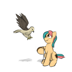 Size: 1280x1280 | Tagged: safe, artist:captainhoers, artist:gyrotech, edit, oc, oc only, oc:aerie rufter, earth pony, falcon, pony, chest fluff, falconry, female, floppy ears, flying, grayscale, looking up, mare, simple background, sitting, smiling, spread wings, white background, wings