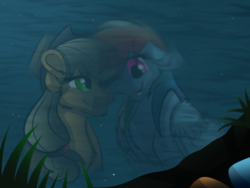 Size: 2048x1536 | Tagged: safe, artist:percy-mcmurphy, applejack, rainbow dash, pony, g4, chest fluff, cowboy hat, female, floppy ears, hat, lesbian, mare, reflection, ship:appledash, shipping, smiling, stetson, water