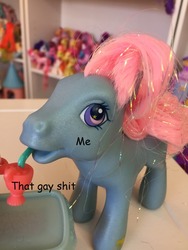 Size: 960x1280 | Tagged: safe, piccolo, pony, g3, drinking, image macro, irl, meme, photo, that gay shit, that gay shit and me, toy