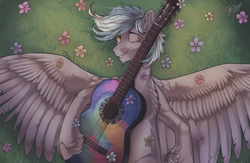 Size: 2000x1300 | Tagged: safe, artist:orfartina, oc, oc only, pegasus, pony, acoustic guitar, flower, grass field, handsome, male, musical instrument, one eye closed, solo, wink