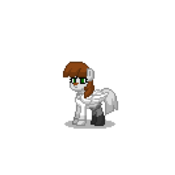 Size: 400x400 | Tagged: safe, oc, oc only, oc:nightshade (furry), cat, pony, pony town, furry, non-mlp oc, simple background, transparent background