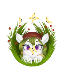 Size: 2665x3149 | Tagged: safe, oc, oc only, oc:herbal remedy, butterfly, earth pony, pony, zebroid, female, grass, high res, solo