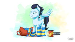 Size: 1920x1080 | Tagged: safe, artist:mysticalpha, soarin', pony, g4, baby wipes, bag, can, clothes, eyes closed, male, smiling, socks, solo, striped socks