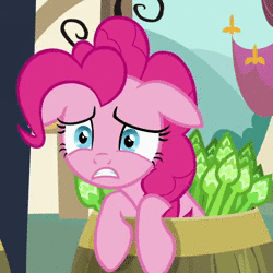 Size: 500x500 | Tagged: safe, screencap, pinkie pie, earth pony, pony, g4, rock solid friendship, animated, asparagus, barrel, female, floppy ears, no sound, perfect loop, solo, webm, wide eyes, worried