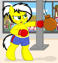Size: 2790x3000 | Tagged: safe, artist:an-tonio, artist:toyminator900, edit, oc, oc only, oc:uppercute, pony, bipedal, boxing gloves, clothes, freckles, high res, punching bag, shorts, solo, window