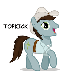 Size: 840x914 | Tagged: safe, artist:ethanchang, oc, oc only, oc:topkick, pony, comic sans, cowboy hat, hat, ponysona, stetson