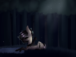 Size: 1024x768 | Tagged: safe, artist:hyshyy, oc, oc only, oc:bo, bird, earth pony, pony, male, night, pond, prone, solo, stallion, tree