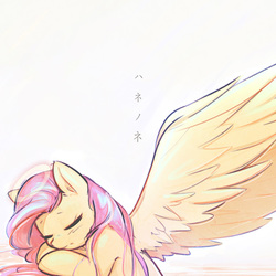 Size: 800x800 | Tagged: safe, artist:mirroredsea, fluttershy, angel, pegasus, pony, ponies at dawn, g4, album cover, cute, eyes closed, female, fluttershy the angel, haibane renmei, halo, japanese, mare, shyabetes, simple background, sleeping, solo, spread wings, translation request, wings