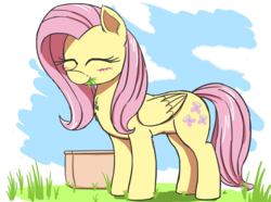 Size: 2600x1938 | Tagged: safe, artist:j24262756, fluttershy, pony, g4, atg 2017, cute, eating, eyes closed, female, grass, grazing, herbivore, horses doing horse things, mare, newbie artist training grounds, shyabetes, smiling, solo